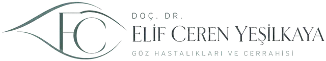Doç. Dr. Elif Ceren Yeşilkaya