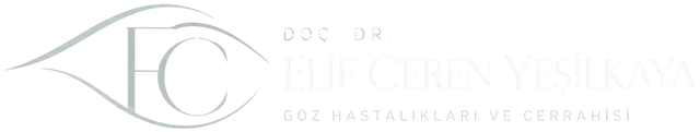 Doç. Dr. Elif Ceren Yeşilkaya